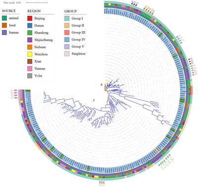 Molecular characteristics and phylogenetic analysis of Clostridium perfringens from different regions in China, from 2013 to 2021